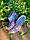Галоші садово-городні Квіти фіолетові, фото 7