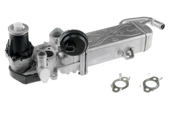 Купить Клапан EGR Audi A3 8P 1.6 TDI 2003-2013 NTY EGR-VW-007, цена ...