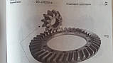 Головна пара шестерень МТЗ-80 50-2403014 А, фото 4