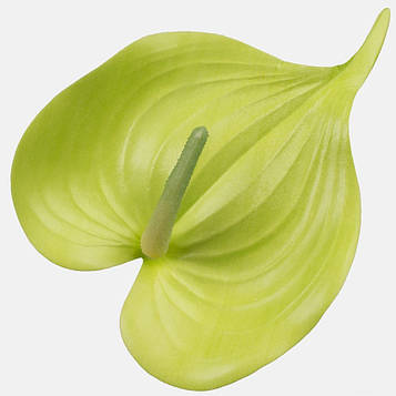 Насадка штучна антуріума латекс (КОД: Green W210P-03)  Довжина - 19*10  см | виробництво Польща |24 шт. в