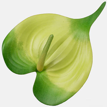 Насадка штучна антуріума латекс  (КОД:  Cream/Green W210P-21)  Довжина - 19*10  см | виробництво Польща |24 шт. в