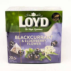 Чай LOYD Blackcurrant & Elderberry фруктовий із чорною смородиною і квітами чорної бузини 20 ріоамідок