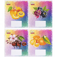 От 16 шт. Зошит кольоровий 24 аркуша, лінія 3388D купить оптом