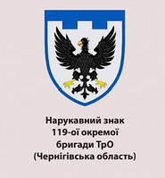 Шеврон 119-я отдельная бригада ТрО Черниговская область (119 ОБрТрО) Шевроны на заказ на липучке (AN-12-644)