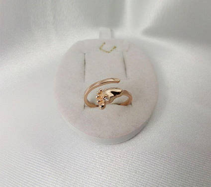 Кільце Нога