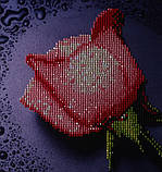 Картина для малювання камінням стразами Diamond painting Алмазна вишивка алмазами Троянда, фото 4