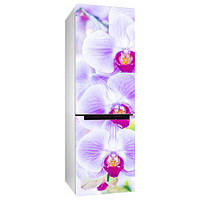 Виниловая наклейка на холодильник Орхидея 2 пленка самоклеющаяся глянцевая с ламинацией 600*1800 мм