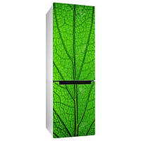 Вінілова наклейка на холодильник Зелений лист дерева плівка на меблі макро трава глянсова 600*1800 мм
