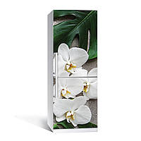 Наклейка на холодильник Орхидея Монстера ламинированная двойная пленка фотопечать цветы белые 600*1800 мм