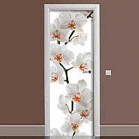 Вінілова наклейка на двері Орхідея 02 ламінована подвійна плівка на меблі фотодрук біла квіти 600*1800 мм