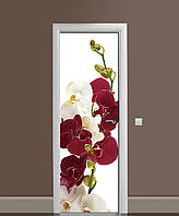Наклейка на двери Бордовые Орхидеи виниловая пленка ламинированная ПВХ цветы на белом фоне 600*1800 мм