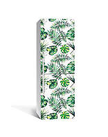 Наклейка на холодильник Монстера Листья Пальмы (пленка ПВХ с ламинацией) 60*180см Растения Зелёный