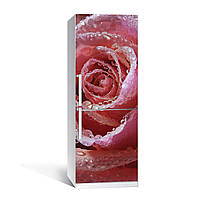 Вінілова наклейка на холодильник Ніжна троянда ламінована подвійна плівка фотодрук роса бутон квіти 600*1800