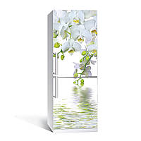 Виниловая наклейка на холодильник Белые крупные орхидеи ламинированная двойная пленка фотопечать цветы