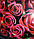 Вінілова наклейка на холодильник Червоні Троянди бутони ламінована подвійна плівка фотодрук квіти 600*1800 мм, фото 4