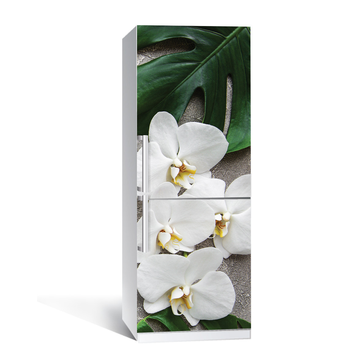 Вінілова наклейка на холодильник Орхідея Монстера ламінована подвійна плівка фотодрук квіти білі 600*1800 мм