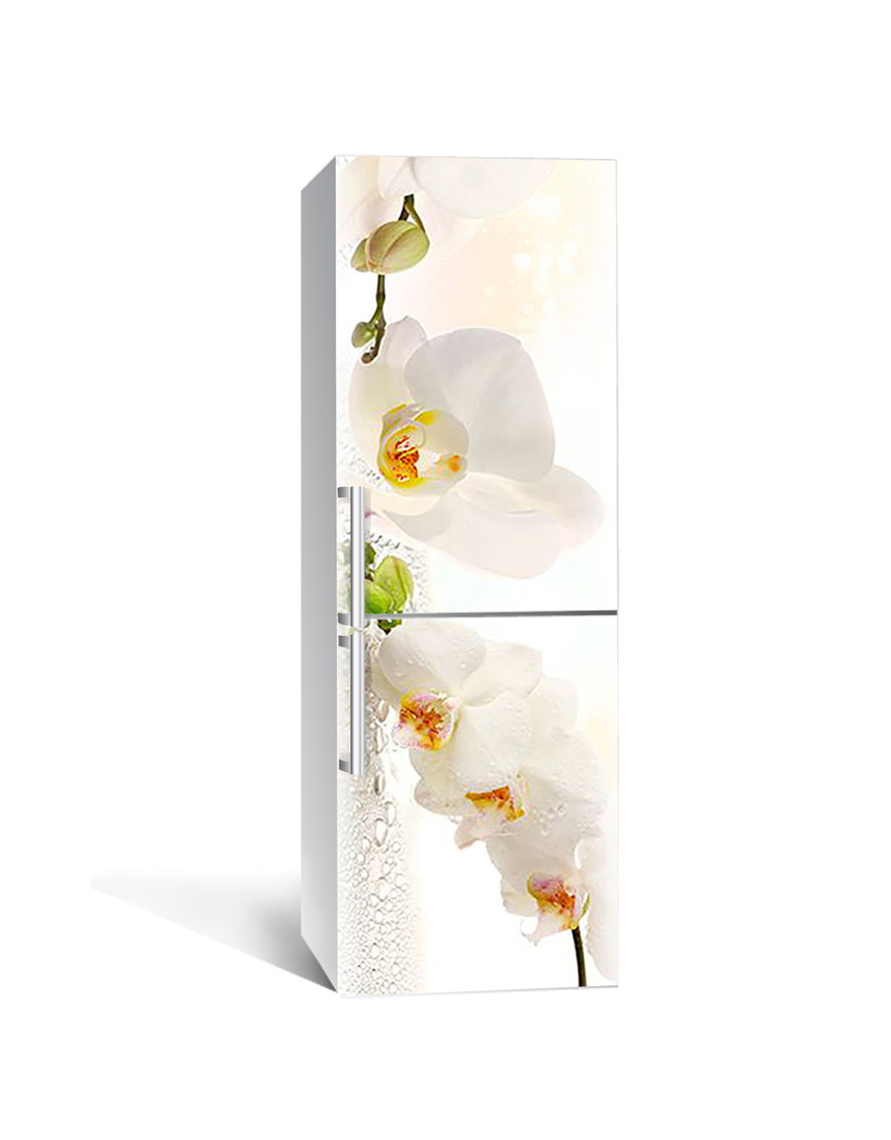 Вінілова наклейка на холодильник Біла орхідея 03 (самоклеюча плівка ПВХ) квіти роса Бежевий 600*1800 мм