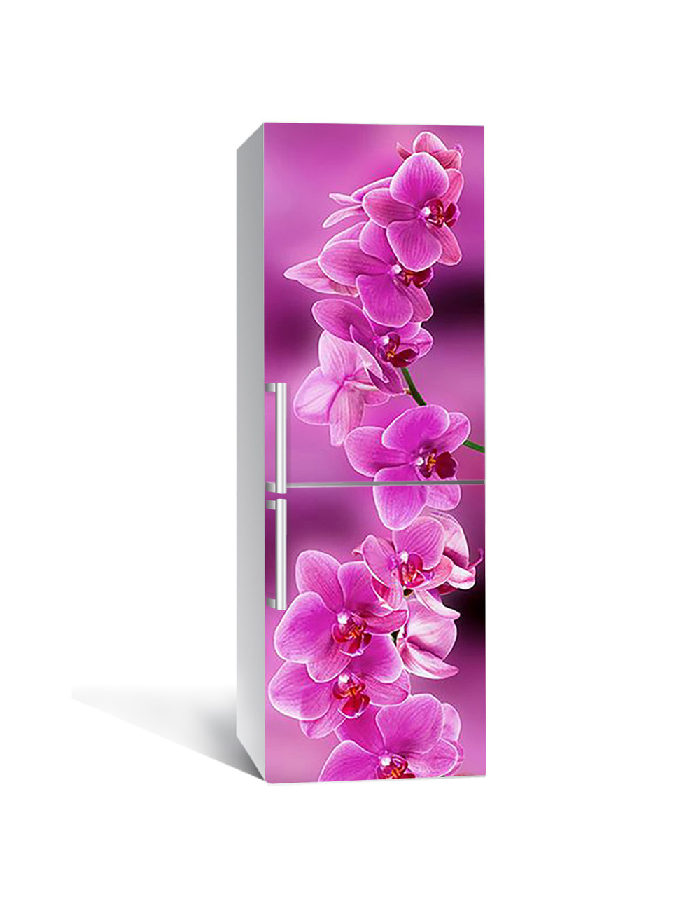 Вінілова наклейка на холодильник Гілка рожевих Орхидей (ламінована плівка ПВХ) квіти орхідеї 600*1800 мм