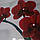 Вінілова наклейка на холодильник Червона орхідея шовк (самоклеюча плівка ПВХ) квіти сірий 600*1800 мм, фото 7