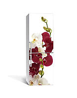 Вінілова наклейка на холодильник Бордові Орхідеї (плівка ламінована ПВХ) квіти на білому тлі 600*1800 мм