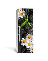 Вінілова наклейка на холодильник Ромашки і чорні Камені (плівка ламінована ПВХ) квіти 600*1800 мм