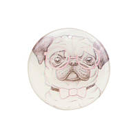 Держатель для телефона PopSocket Circle Цвет Pug 13