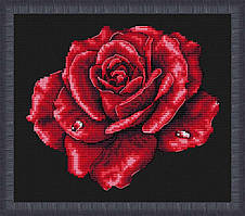 Набір для вишивання "Червона троянда"
