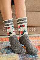 Шкарпетки (HEBAT) Жіночі
