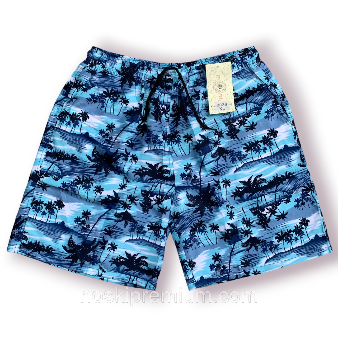 Шорти чоловічі Black Cyclone Est. 1971, розміри M-3XL, блакитні, 0026, фото 1