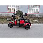 Електротрайк Електроскутер триколісний FORTE FAMILY 500W Червоний Форте, фото 7
