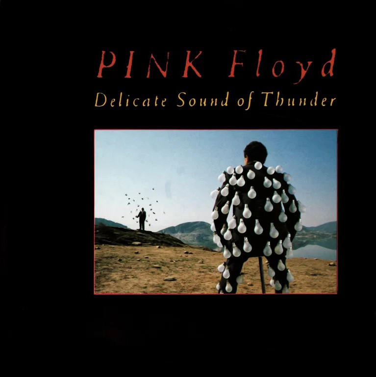 Pink Floyd – Delicate Sound of Thunder (2cd) (1988)