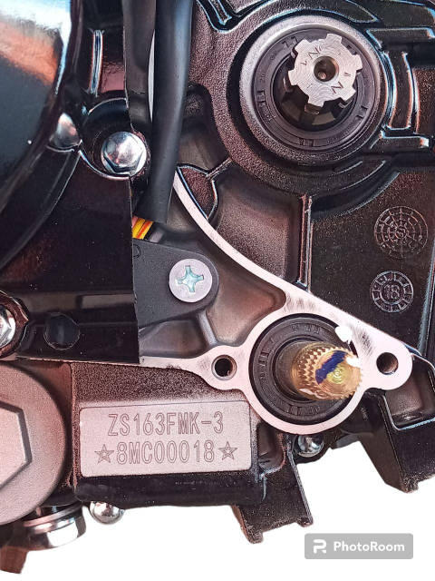 【希少】180L25GSPVincentBachStradivarius Купить ДВИГАТЕЛЬ CBB 180 Zongshen ( ZS163FMK-3 ) ZUBR