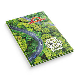 Щоденник шкільний тверда обкладинка "Дорога в зелених лісах" 1В 2612