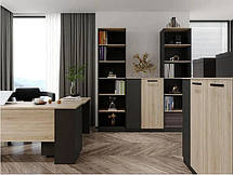 Пенал Офіс Нью REG4D 2240х800х400мм антрацит + дуб сонома Гербор, фото 5