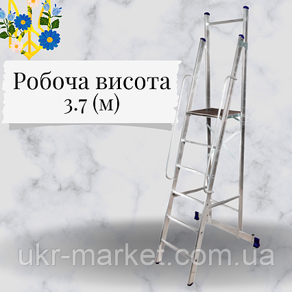 Драбина з поручнями професійна на 6 ступенів, фото 2