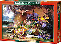 Пазлы Castorland 2000