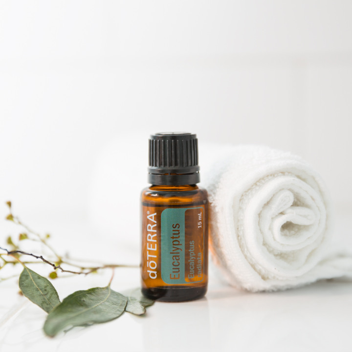 Дотерра 100% эфирное масло Эвкалипт doTERRA Eucalyptus Essential Oil Эвкалипт Eucalyptus radiata doTERRA 15 мл - фото 2 - id-p1860565266