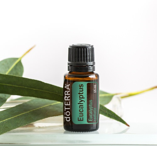 Дотерра 100% эфирное масло Эвкалипт doTERRA Eucalyptus Essential Oil Эвкалипт Eucalyptus radiata doTERRA 15 мл - фото 3 - id-p1860565266