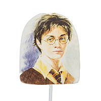 Цукровий топер "Гаррі Поттер" №1