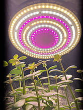 200 W 288LED Лампа для рослин "Фітоспот 2" (UFO Фітолампа Світильник Гроубокс Теплиця Повний спектр)