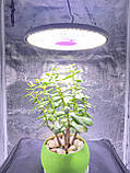 200 W 288LED Лампа для рослин "Фітоспот 2" (UFO Фітолампа Світильник Гроубокс Теплиця Повний спектр), фото 2
