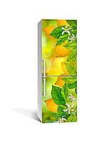 Наклейка на холодильник Zatarga «Лимоны » 600х1800 мм виниловая 3Д наклейка декор на кухню самоклеящаяся