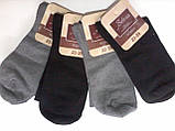Класичні універсальні однотонні шкарпетки, фото 2