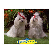 Щітка для грумінгу великих собак Furminator deShedding tool Large Фурминатор Fubnimroat 10 см, фото 6