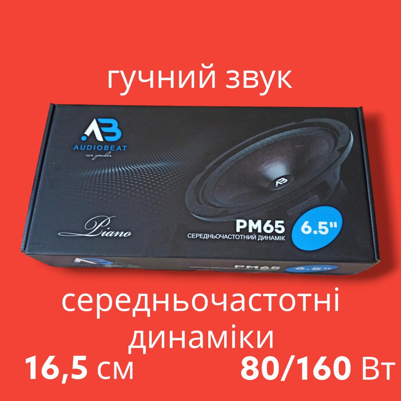 Естрадна акустика AudioBeat Piano PM65, фото 1