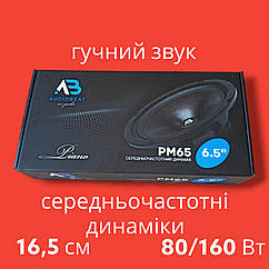 Естрадна акустика AudioBeat Piano PM65