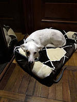 М'який лежак спальне місце для собаки "Лежак Цар"