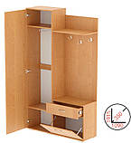 Стильні меблі для дому передпокій з дзеркалом Моніка, фото 3