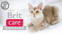 Brit Care