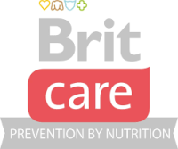 Brit
